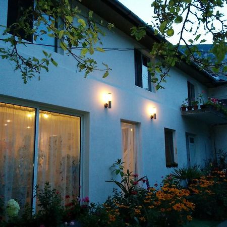 Pension Casa Anadam Băile Herculane Exterior foto