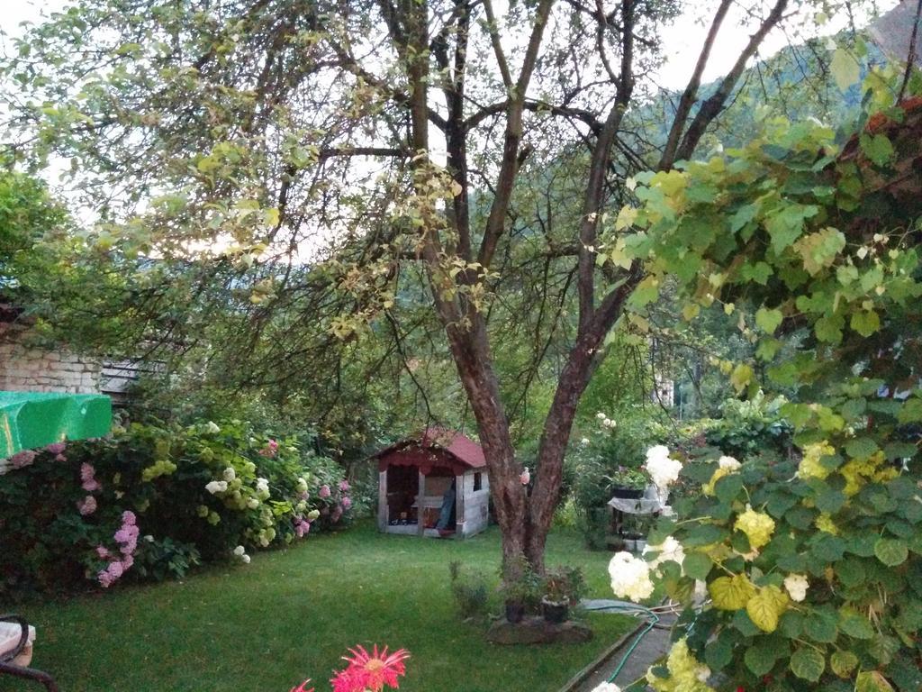 Pension Casa Anadam Băile Herculane Exterior foto