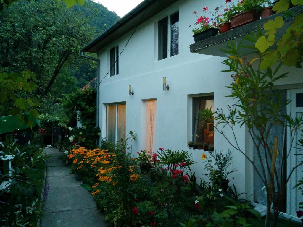 Pension Casa Anadam Băile Herculane Exterior foto
